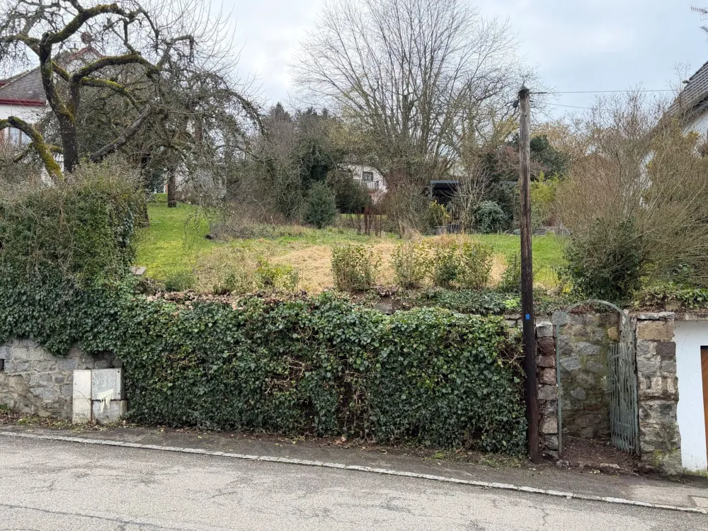 Image du modèle de maison Photo 1