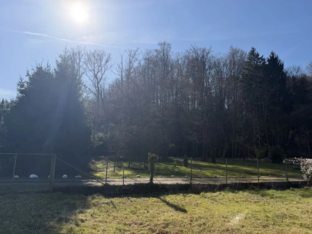 Image du modèle de maison Photo 4 rue du chateau