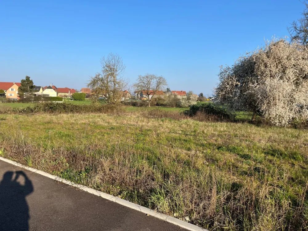 Image du modèle de maison DANNEMARIE HARNIST