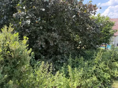 Image du modèle de maison photo 2