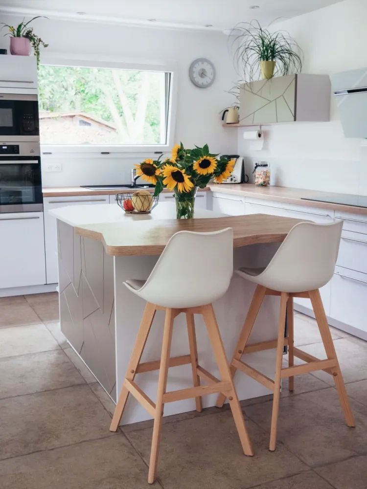 Image du modèle de maison 01