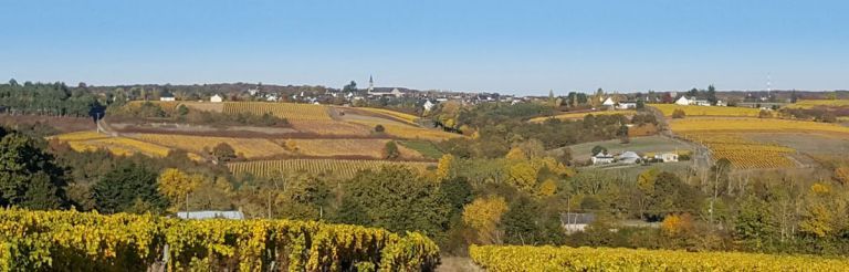 Image du modèle de maison vue-beaulieu-768x246