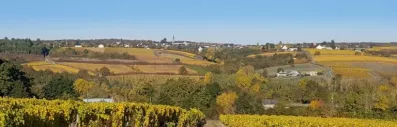 Image du modèle de maison vue-beaulieu-768x246