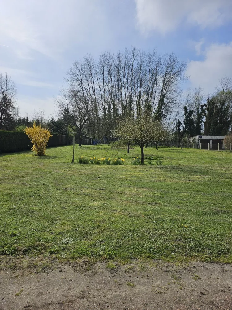 Image du modèle de maison 20240322_114332