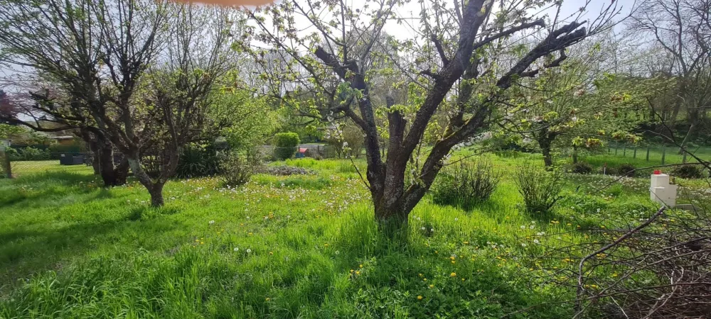 Image du modèle de maison 20240412_114854