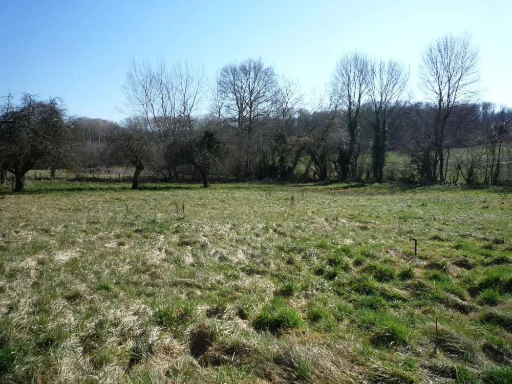 Image du terrain Terrain à bâtir de 1160 m² à ESSOMES-SUR-MARNE (02)