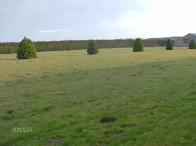Image du modèle de maison HPIM3298