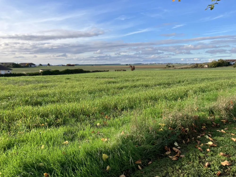 Image du terrain Terrain à bâtir de 452 m² à GOURNAY-EN-BRAY (76)