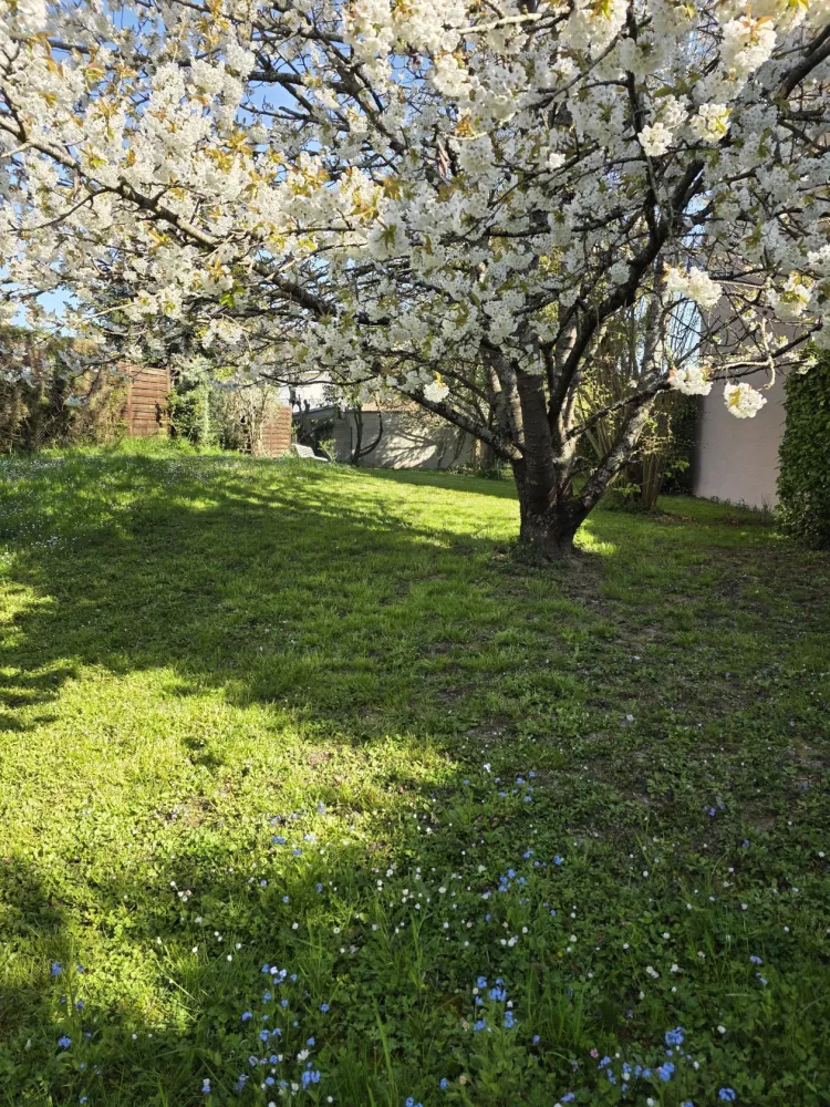 Image du terrain Terrain à bâtir de 351 m² à LUMIGNY-NESLES-ORMEAUX (77)