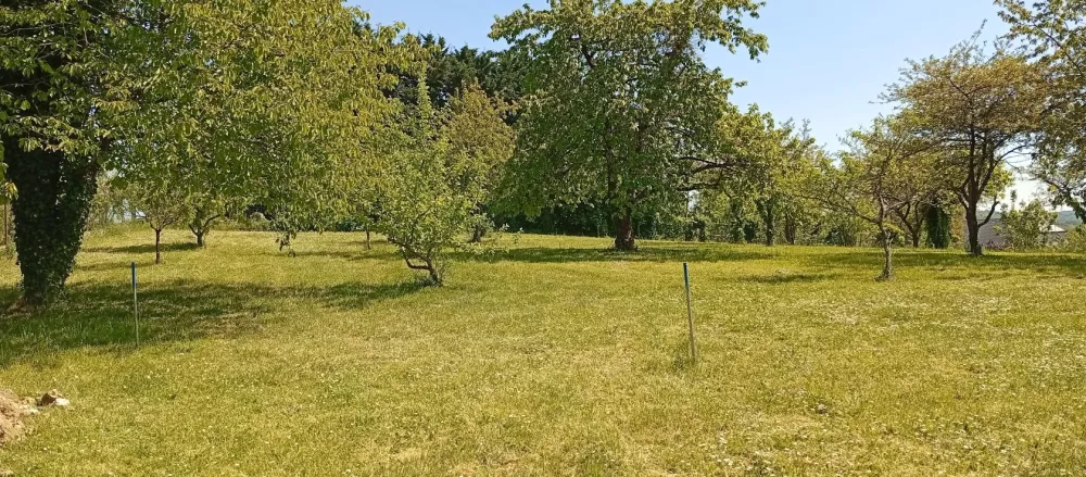 Image du modèle de maison 1746019920306