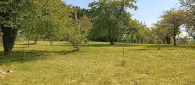 Image du modèle de maison 1746019920306