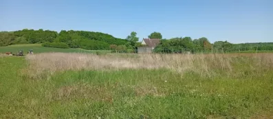 Image du modèle de maison 1745935399359