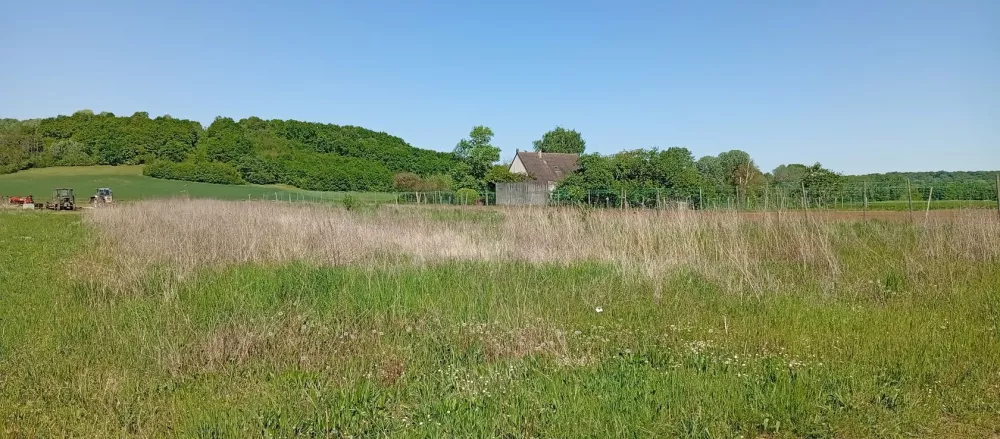 Image du modèle de maison 1745935399419
