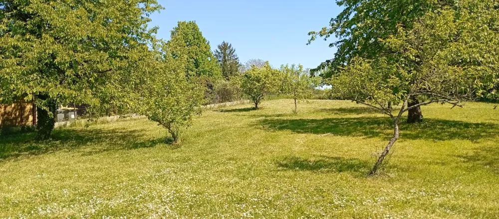 Image du modèle de maison 1746019920324