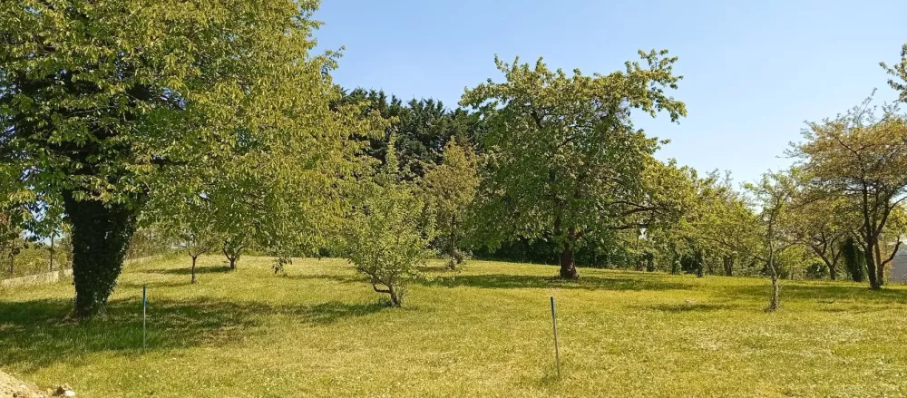 Image du modèle de maison 1746019920319