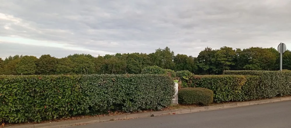 Image du modèle de maison 1755884899903