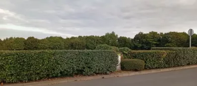 Image du modèle de maison 1755884899903