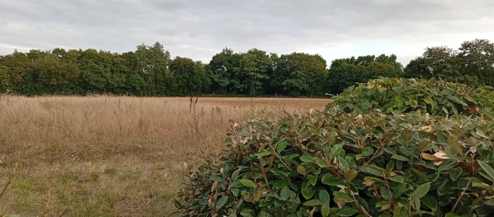 Image du modèle de maison 1755884899917