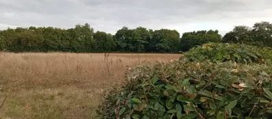 Image du modèle de maison 1755884899917