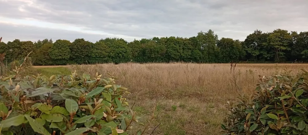 Image du modèle de maison 1755884899925