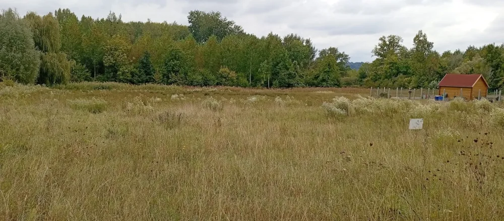 Image du modèle de maison 1758905099571