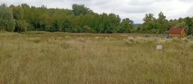 Image du modèle de maison 1758905099571