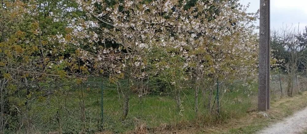 Image du modèle de maison hartennes