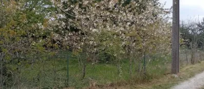 Image du modèle de maison hartennes