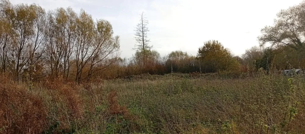 Image du terrain Terrain à bâtir de 1490 m² à SAMOUSSY (02)