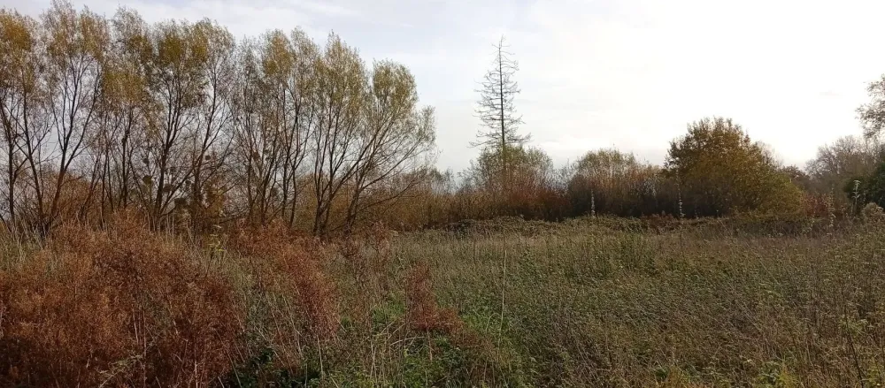 Image du modèle de maison 1762946592207