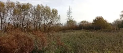 Image du modèle de maison 1762946592207