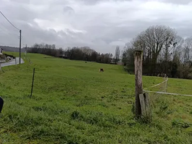 Image du modèle de maison PHOTO 10