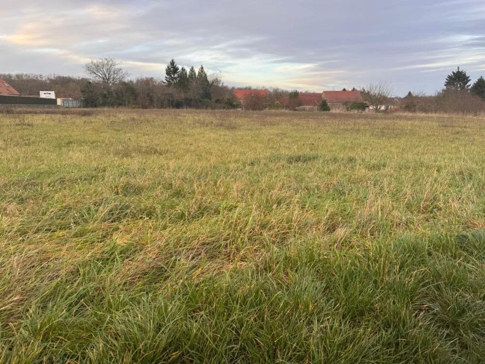 Image du modèle de maison 1000042653