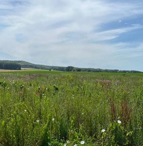 Image du modèle de maison beaurains