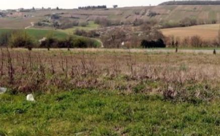 Image du modèle de maison photo