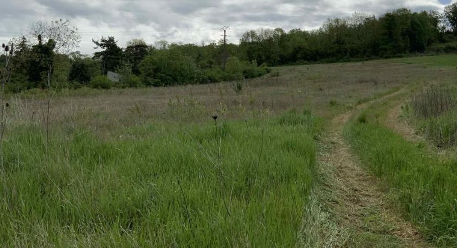 Image du modèle de maison photo