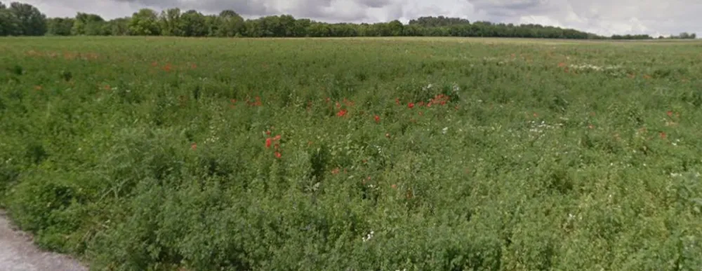 Image du terrain Terrain à bâtir de 870 m² à JUNIVILLE (08)