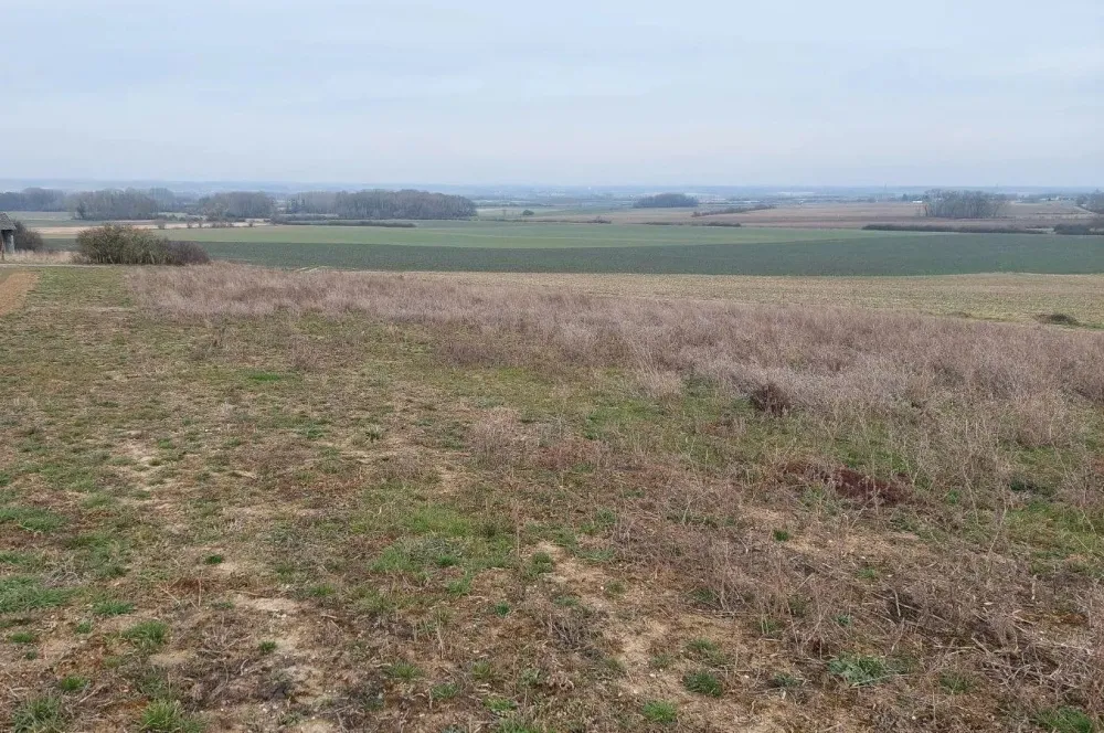 Image du terrain Terrain à bâtir de 1037 m² à RETHEL (08)