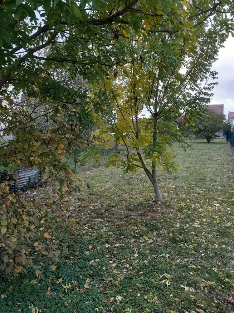 Image du terrain Terrain à bâtir de 395 m² à WITRY-LES-REIMS (51)