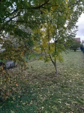 Image du modèle de maison 20251021_164457