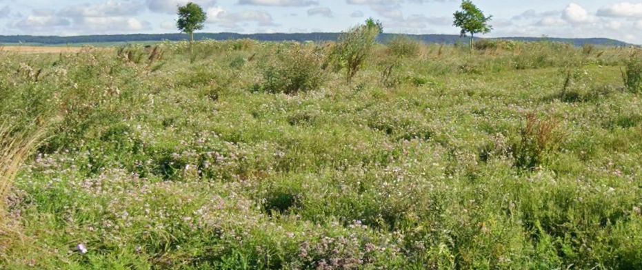 Image du modèle de maison photo