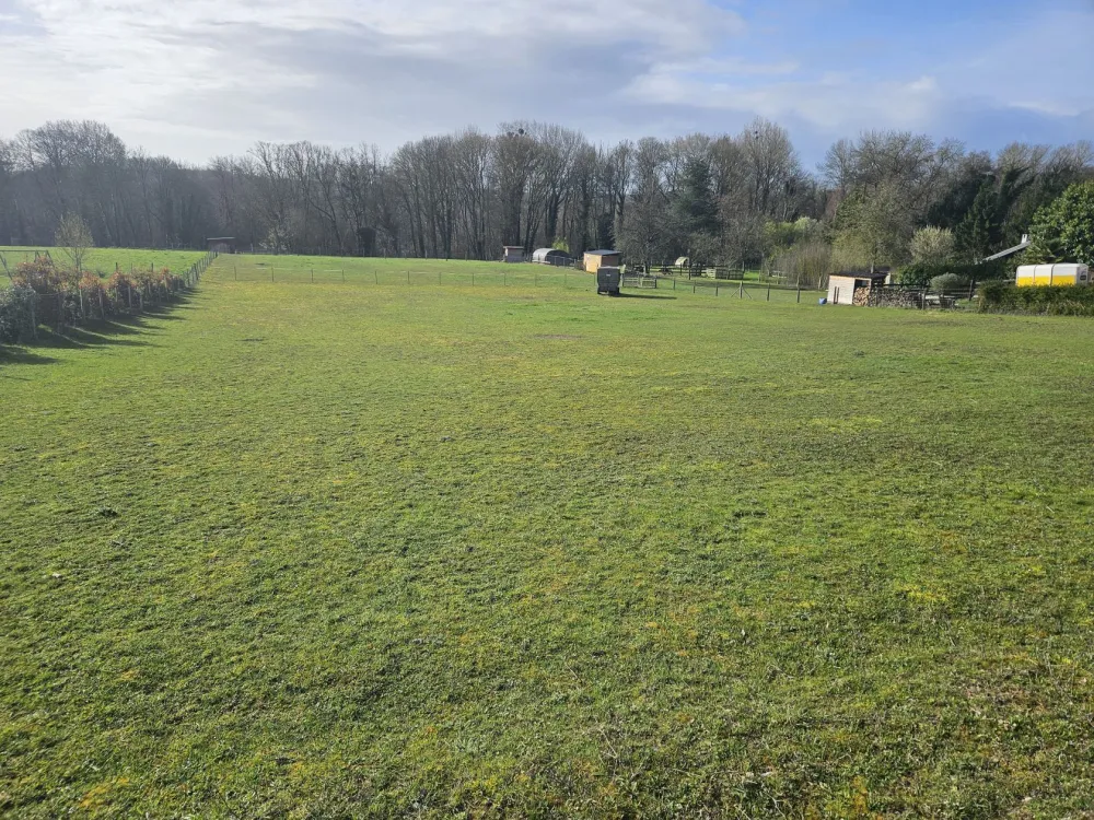 Image du modèle de maison 20260316_094226