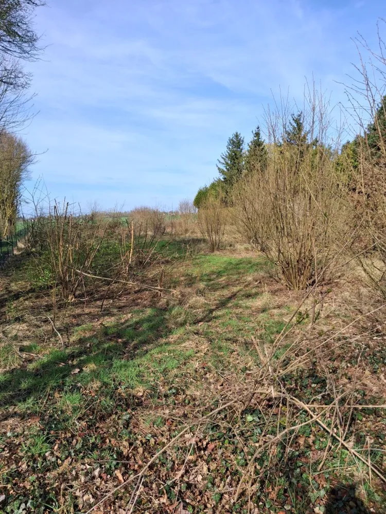 Image du terrain Terrain à bâtir de 2386 m² à REVELLES (80)