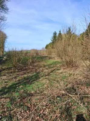 Image du modèle de maison 4154