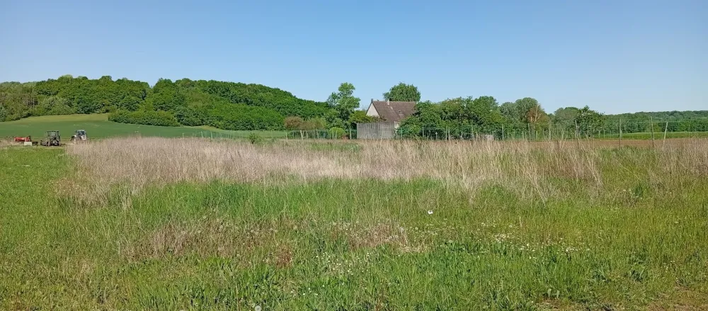 Image du modèle de maison 1745935399359