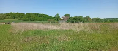 Image du modèle de maison 1745935399359