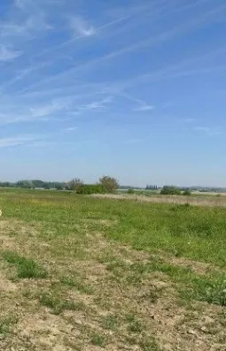 Image du modèle de maison cuvilly