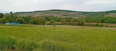 Image du modèle de maison 1000014017
