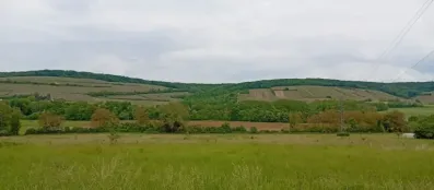 Image du modèle de maison 1000014018