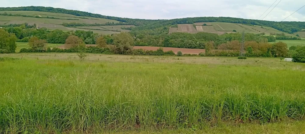 Image du modèle de maison 1000014019